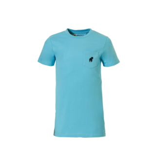 Grizzly Laval T-shirt turquoise