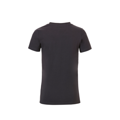 Grizzly Laval T-shirt grey